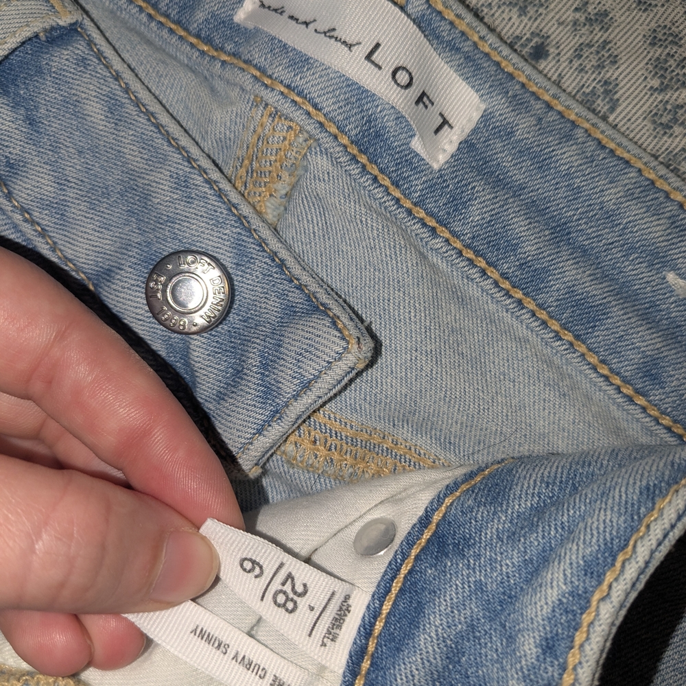 LOFT Blue Skinny Jeans Classic Style